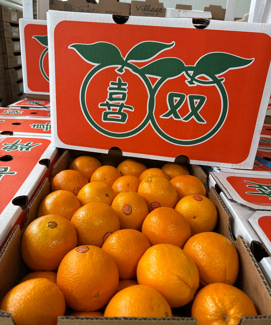 双喜橙 40磅