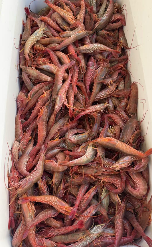 小甜虾 （周三）2磅