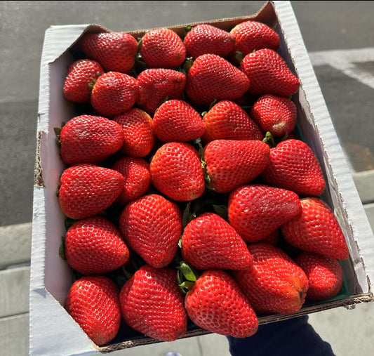 洛杉矶草莓 6磅