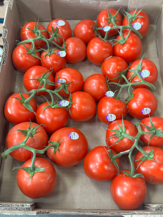 新鲜番茄🍅 5磅（明天到货）