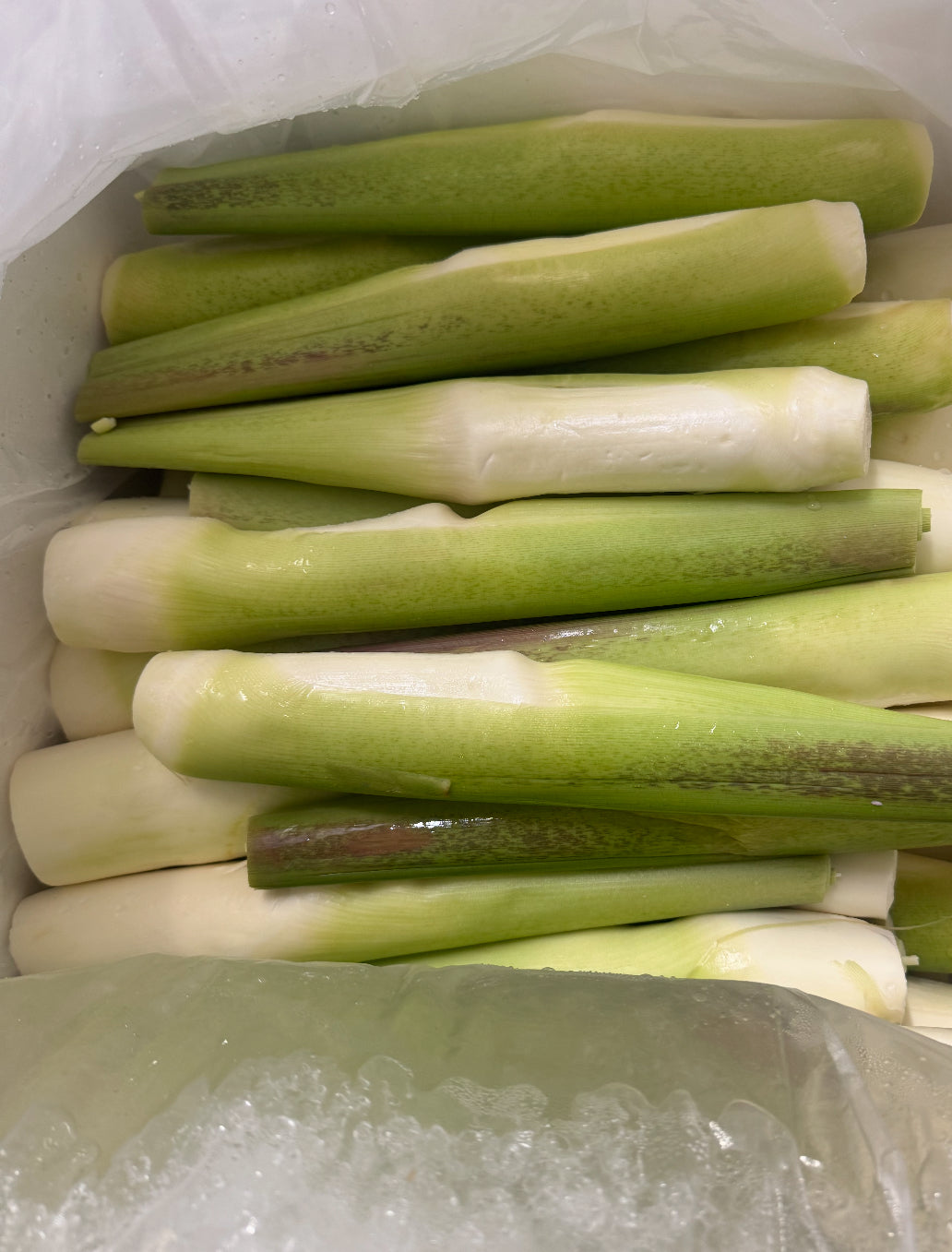 茭白 1磅