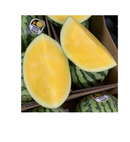 GC-Yellow Melon 1个