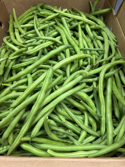 Green Been 白四季豆 3磅
