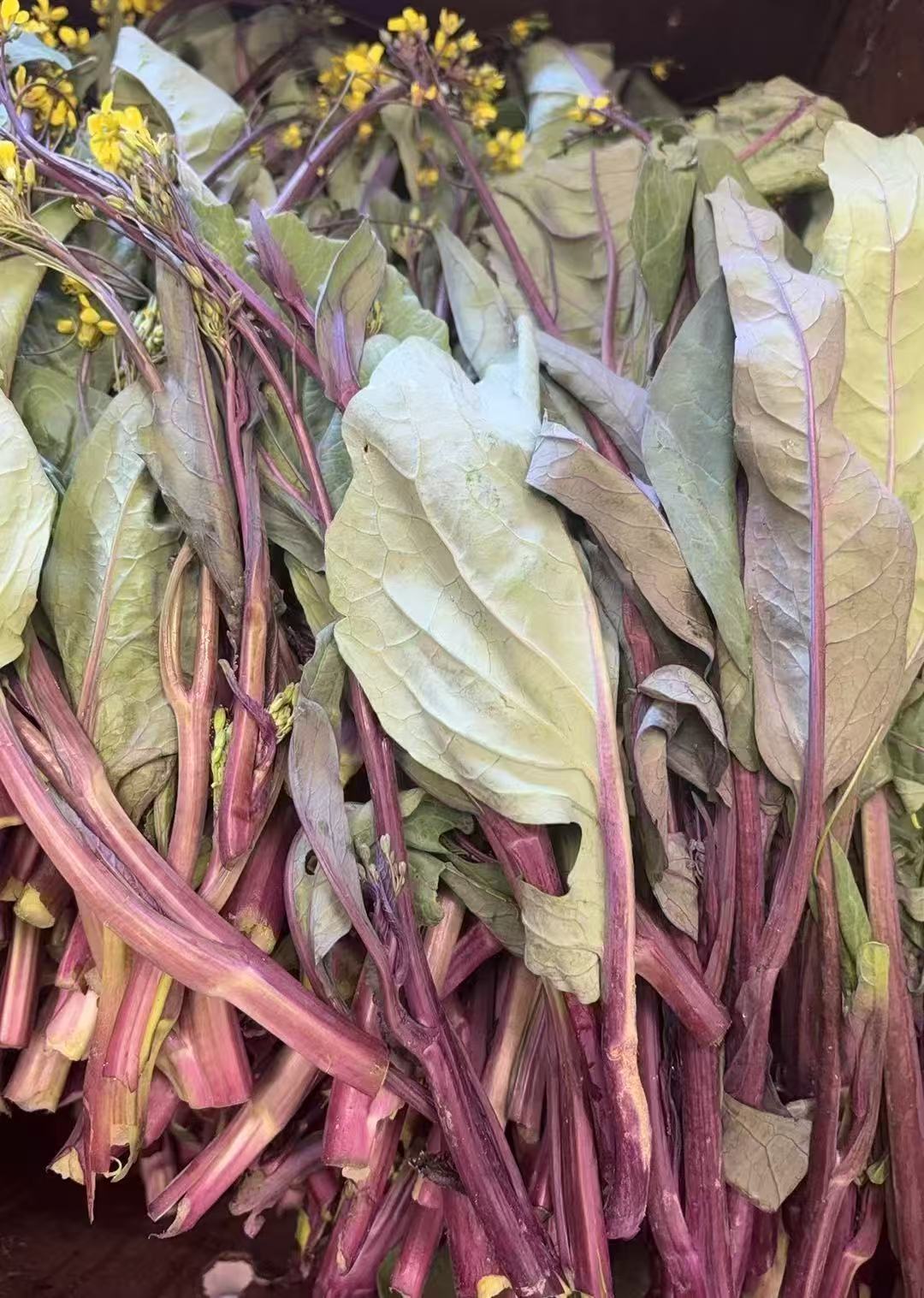 嫩红菜苔 2磅