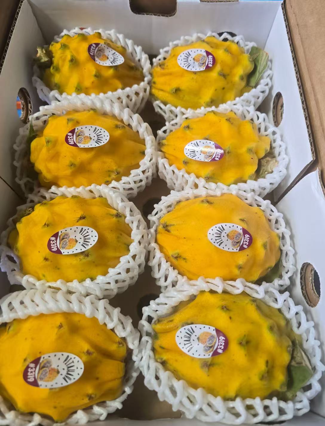 Gift Card 黄色麒麟果 5磅左右
