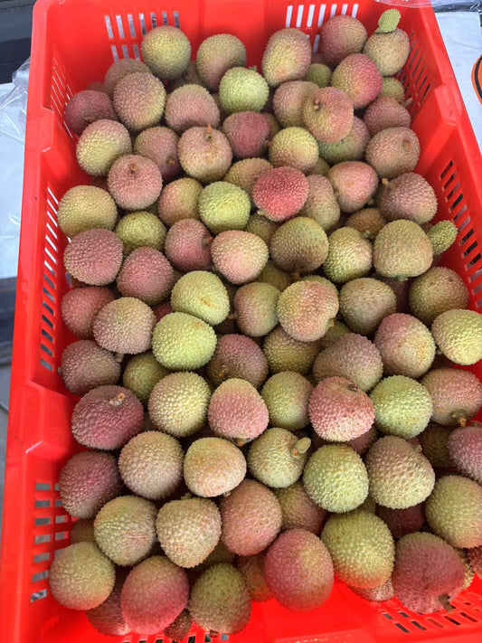Gift Card Lychee 13lbs