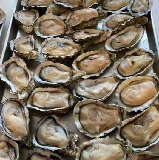 新鲜生蚝🦪  12个