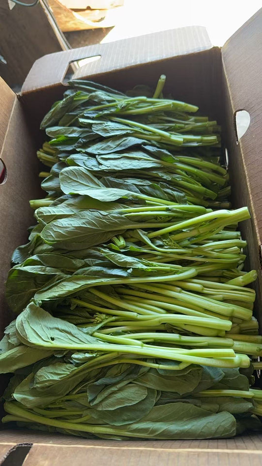 Gift Card 油菜 1lb