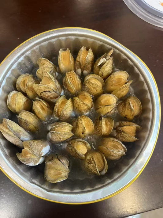 GC-福州插蛏 454g