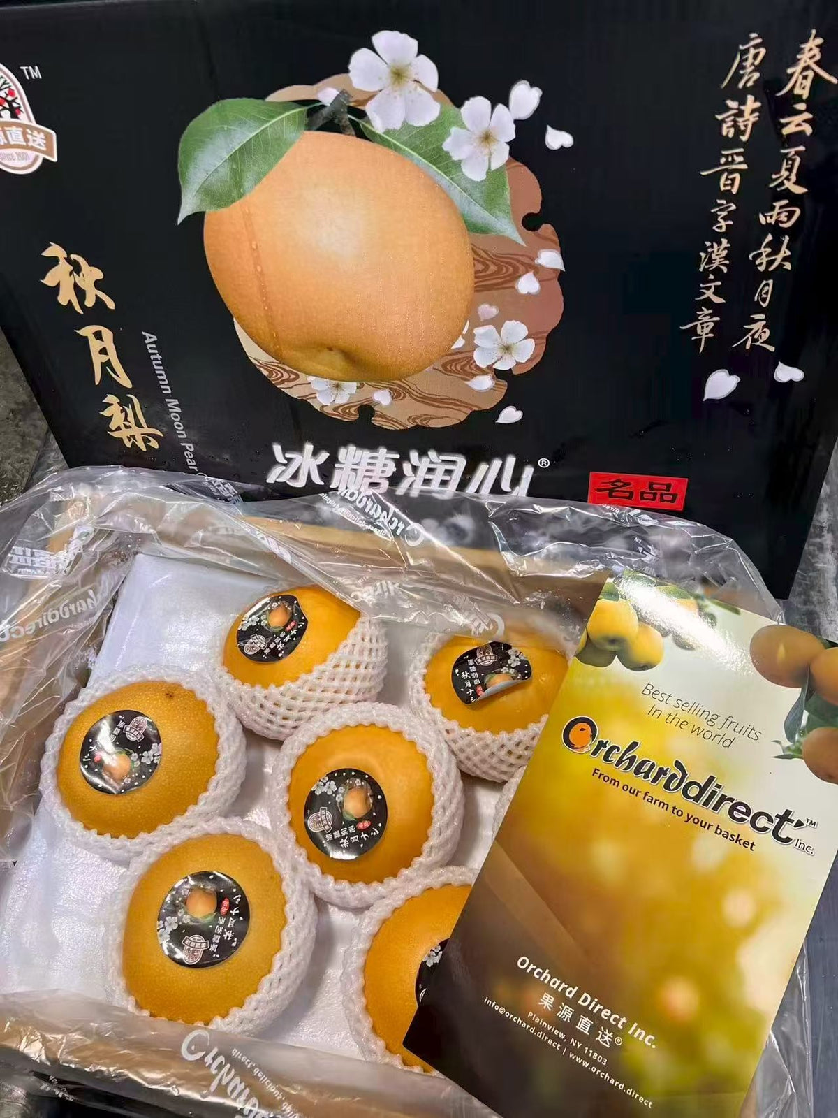 冰糖梨 8磅