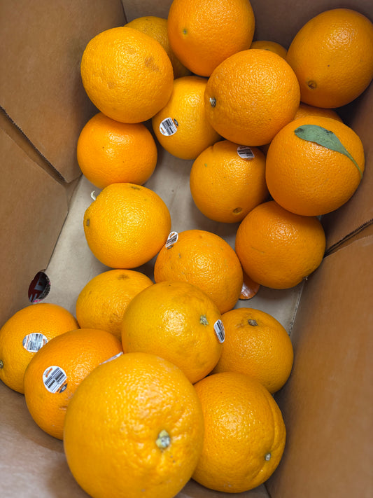 澳洲橙子🍊 1磅