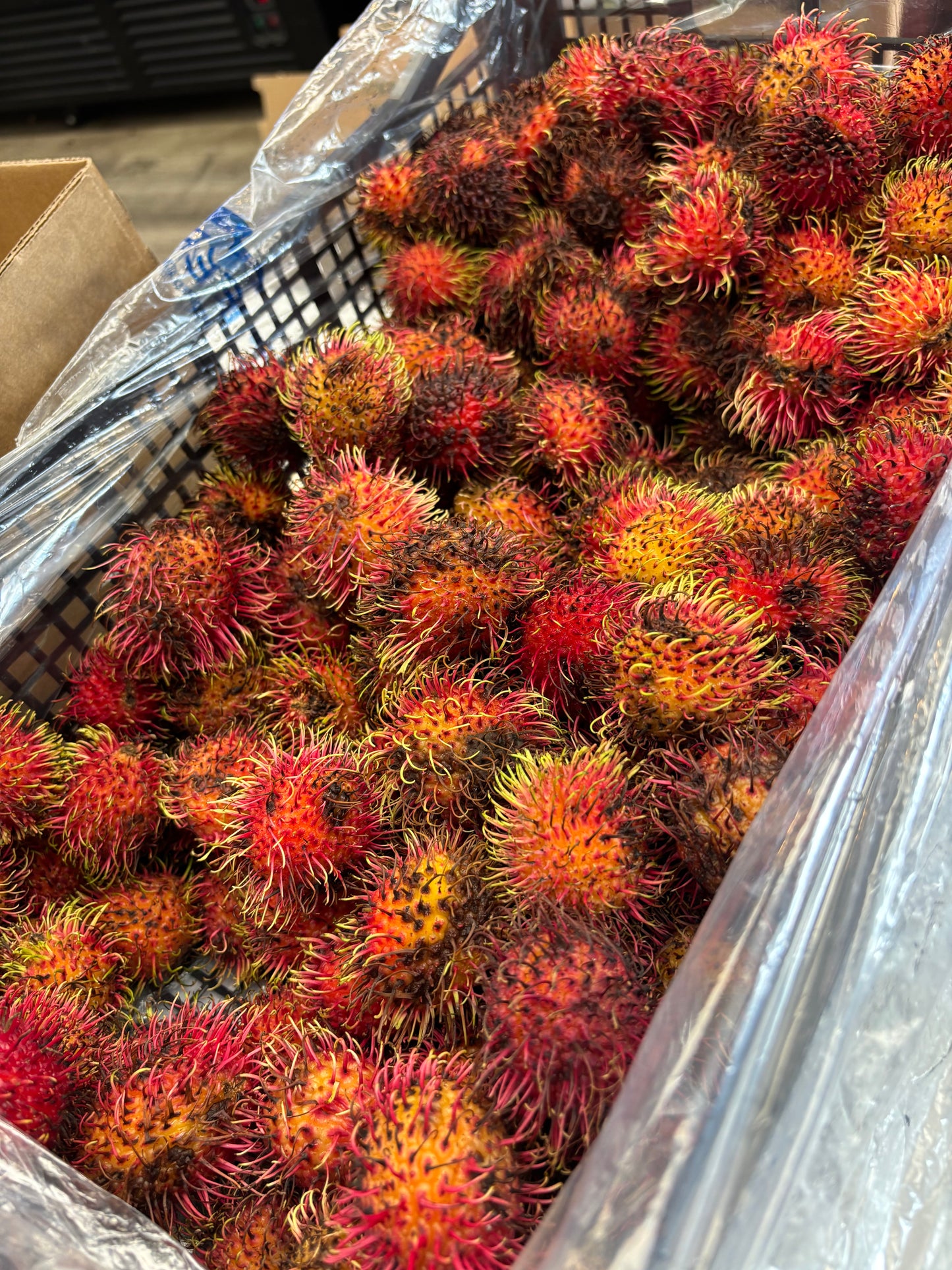 红毛丹 1磅