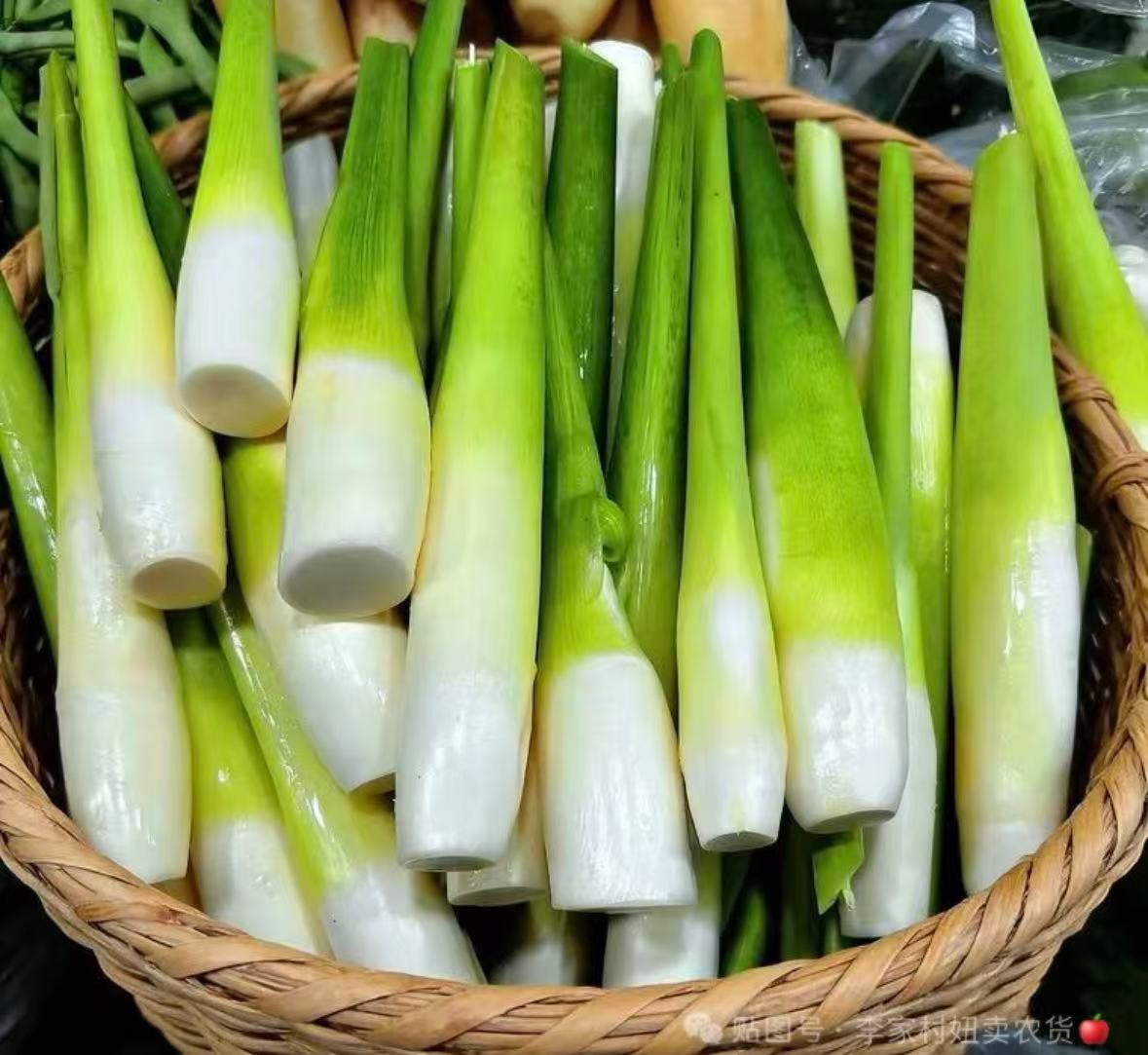 新鲜茭白 3磅