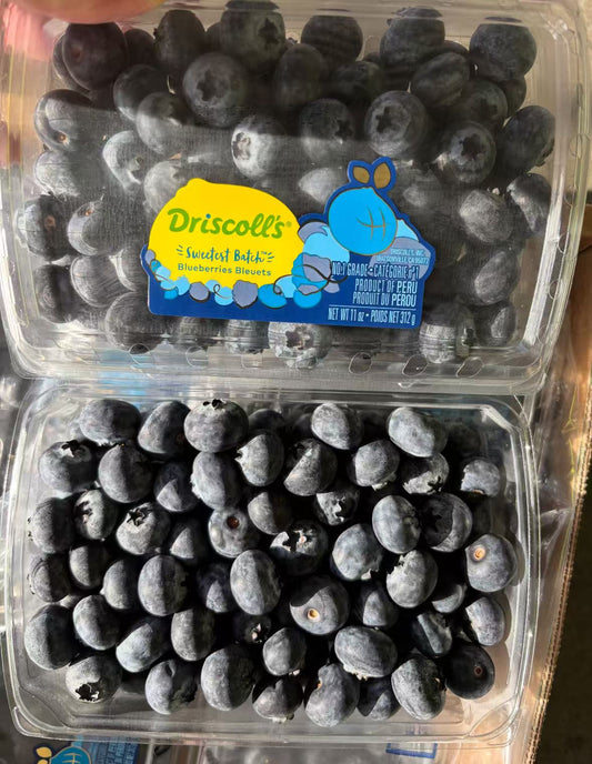 GC-Sweetest Batch Blueberry 最好吃的大蓝莓🫐 11安士