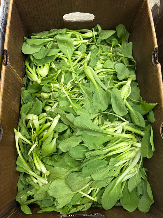 鸡毛菜 1磅
