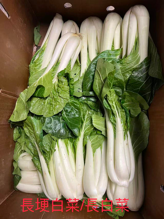 GC-长白菜 2磅