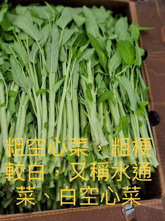GC-粗空心菜 2磅