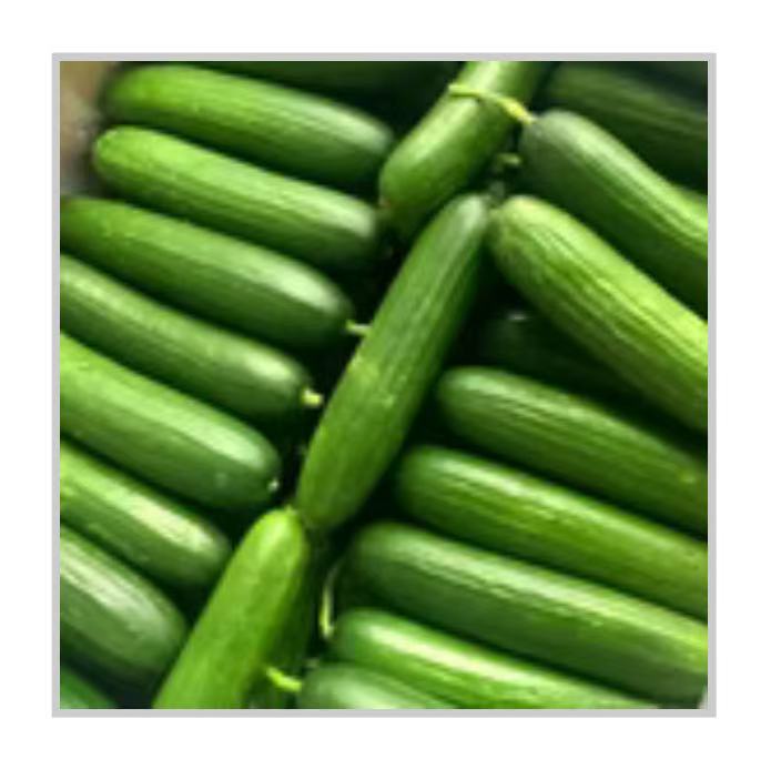 青瓜 2磅