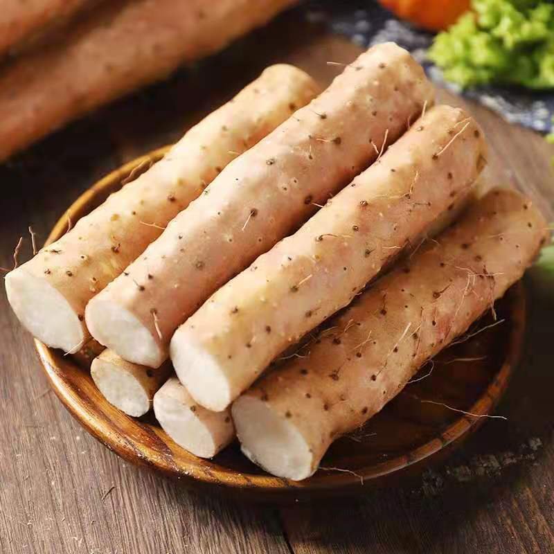 GC-白玉山药 5磅