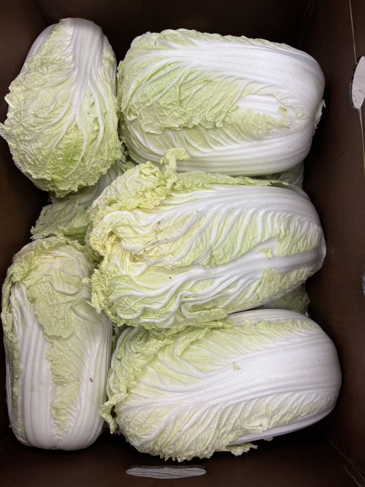 大白菜 3磅