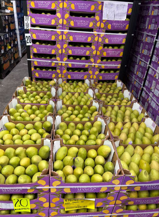 香槟芒果🥭 20个