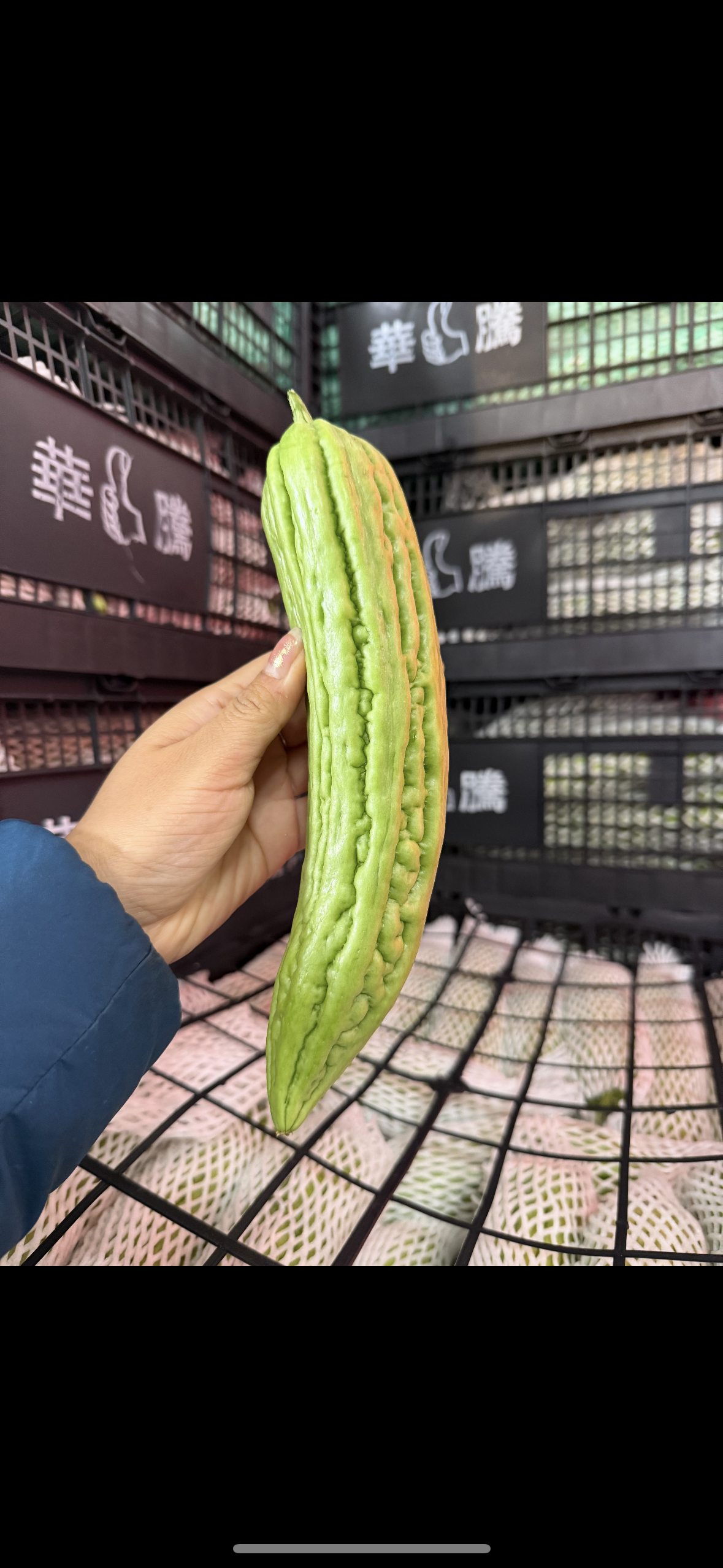 苦瓜 2磅 蔬菜卡