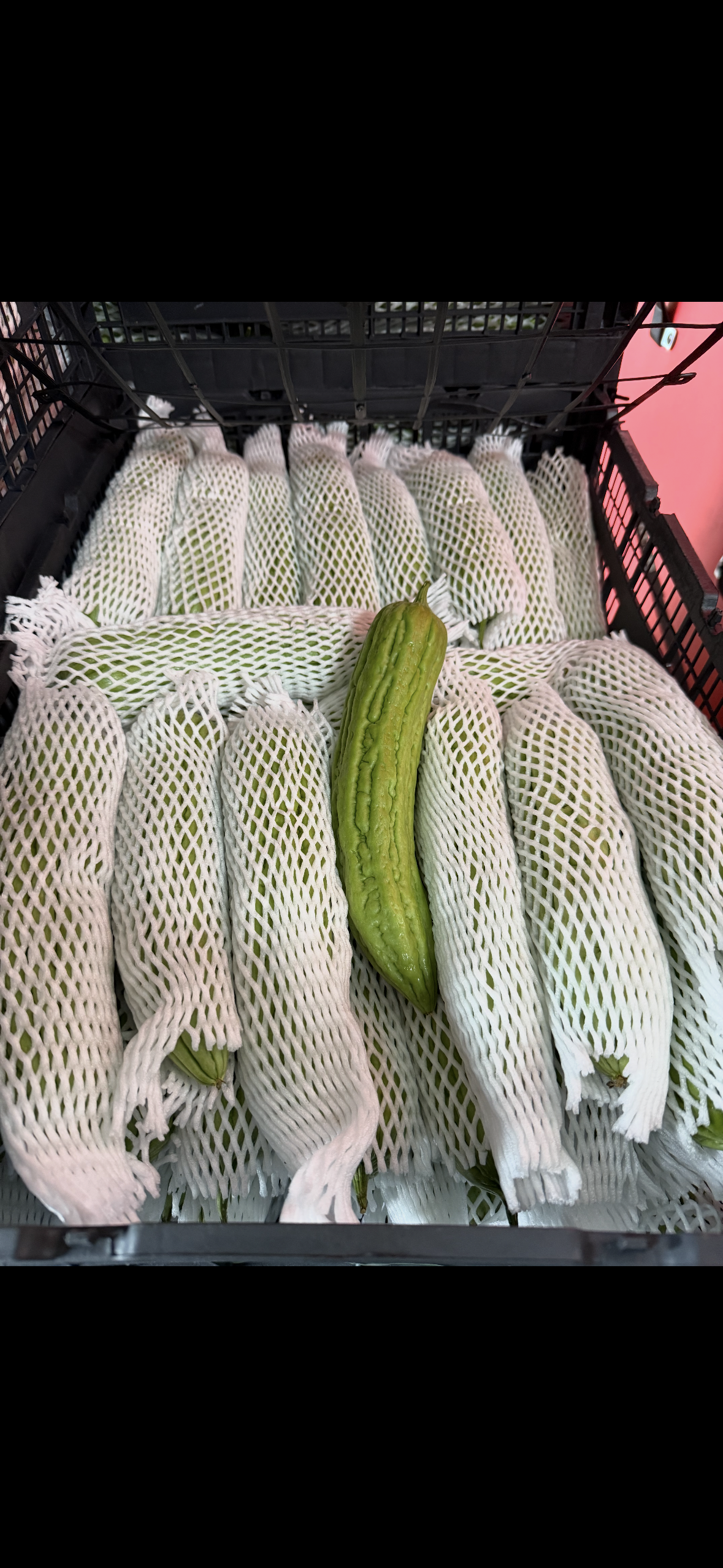 苦瓜 2磅 蔬菜卡