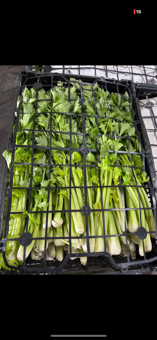 中国小芹菜 2磅