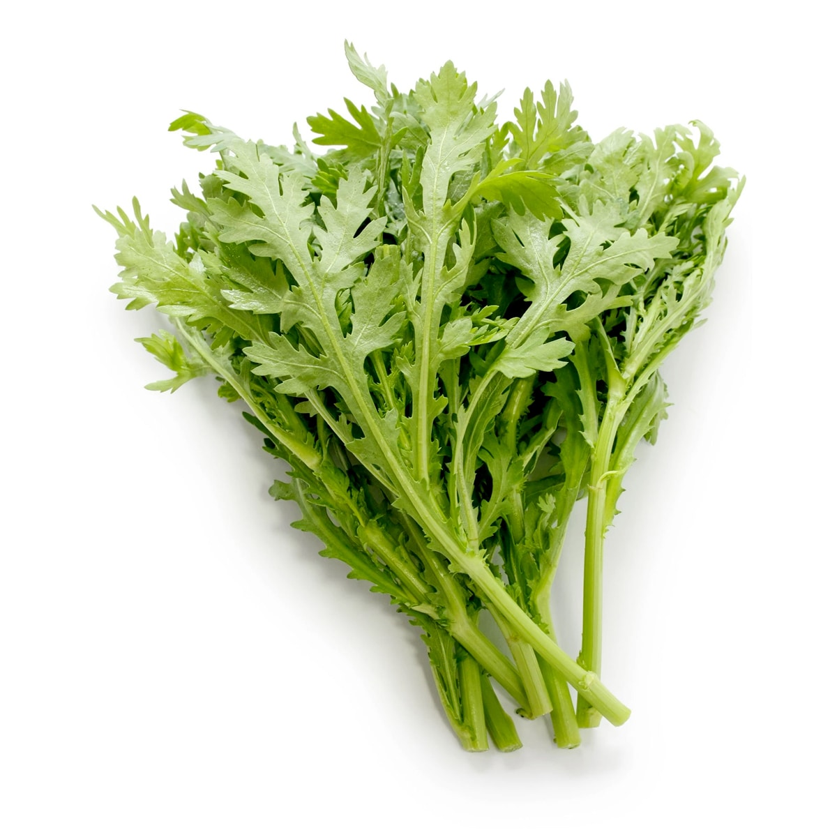 小茼蒿 1磅