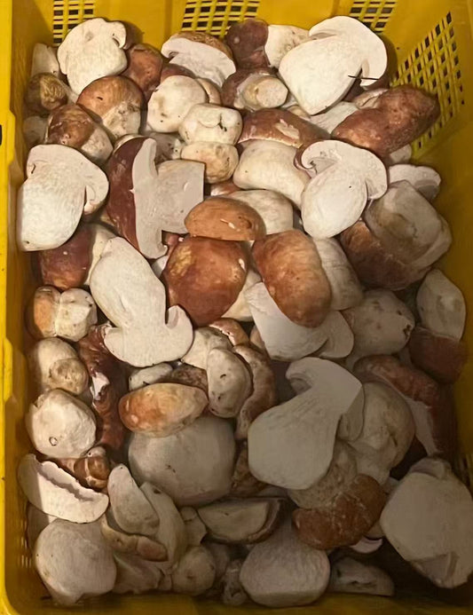 野生1级牛肝菌 半磅