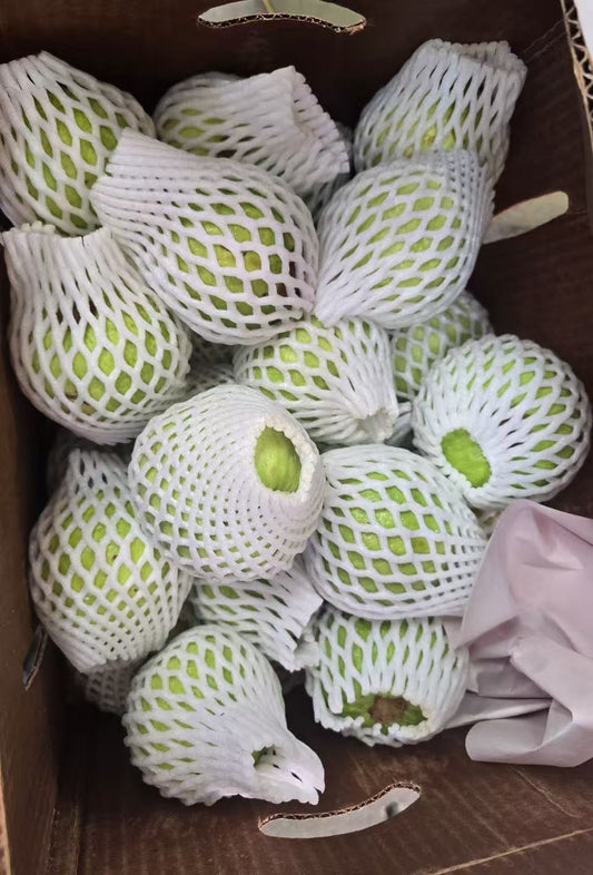 Guava 10lbs(今天到货）