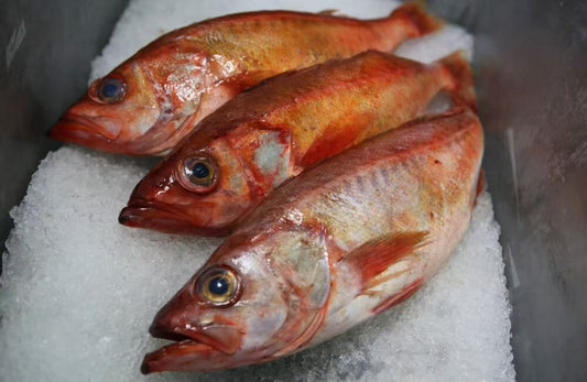 石斑鱼 Chili pepper rockfish 1.5-3磅左右 多除少补