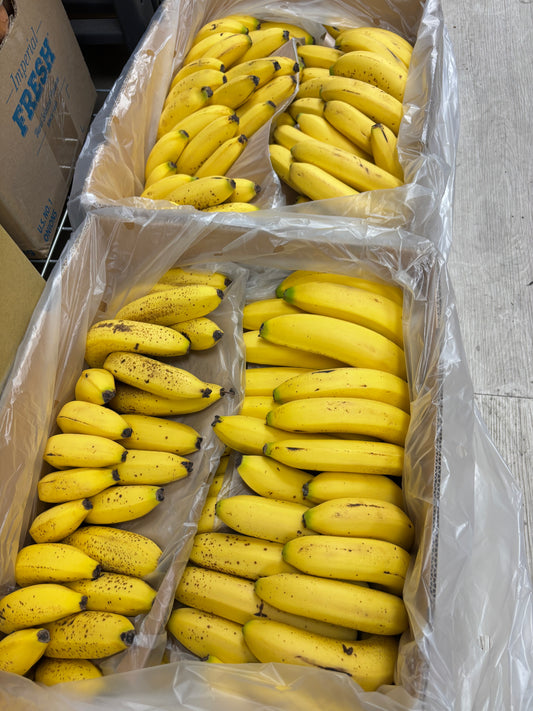 香蕉🍌 2磅 会员免费拿2磅