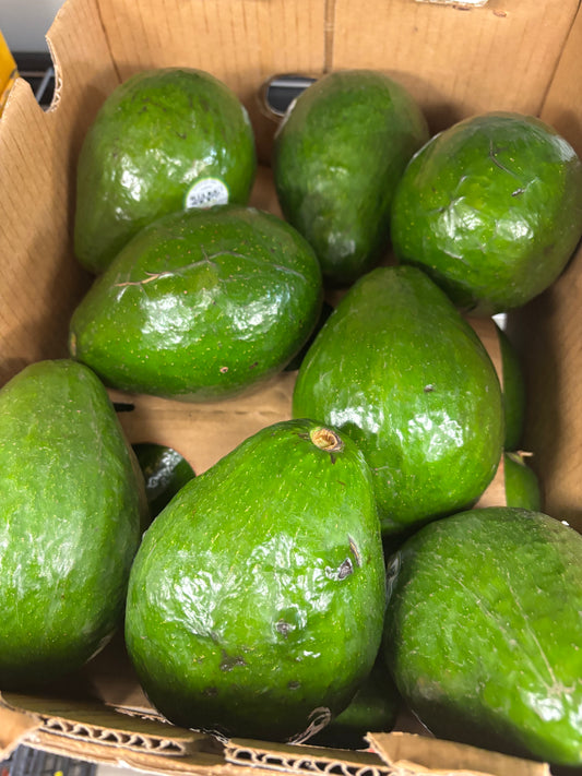 巨无霸牛油果🥑 1个