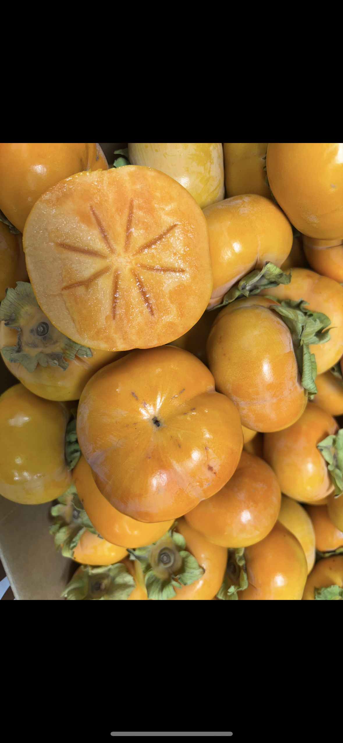 Big Size 脆柿子 5磅