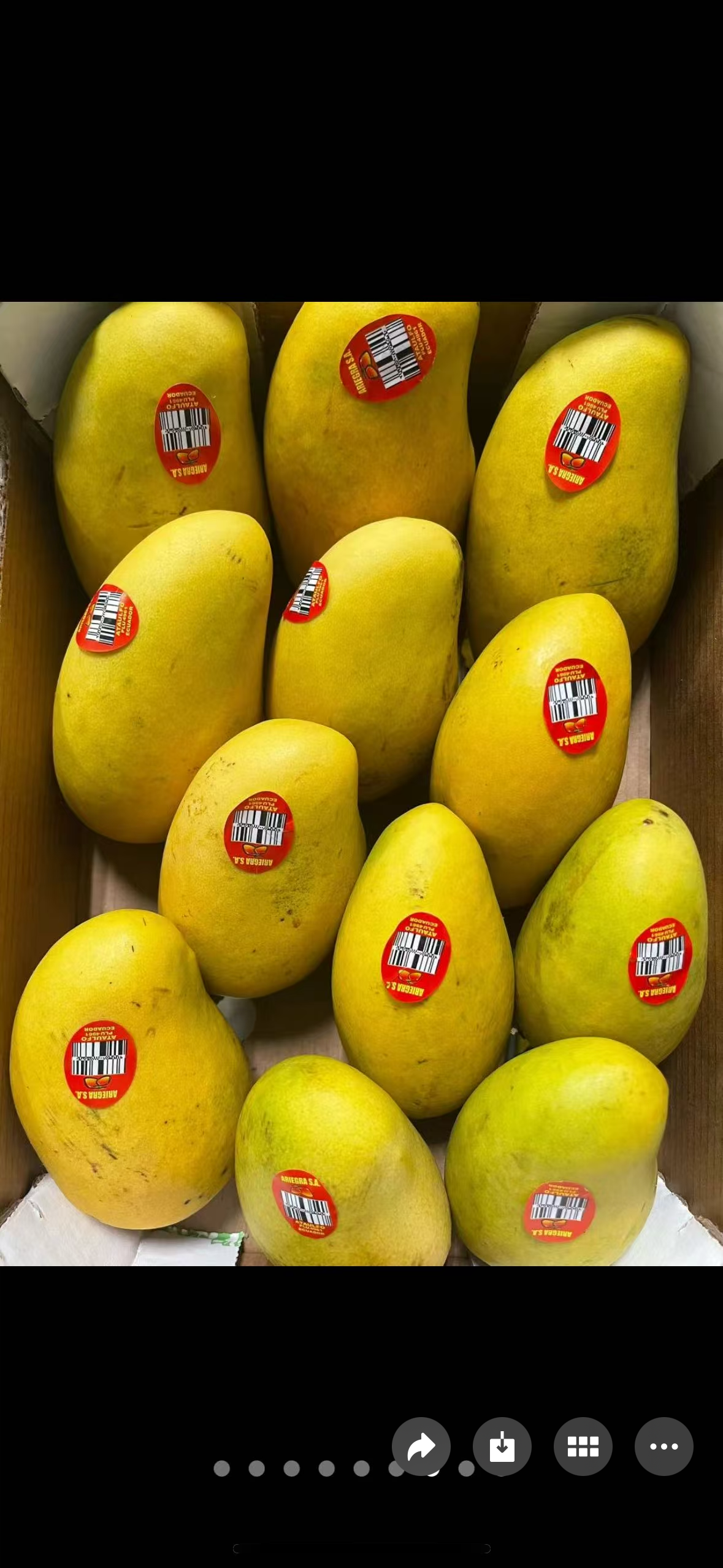 黄芒果 12个/箱 最大Size