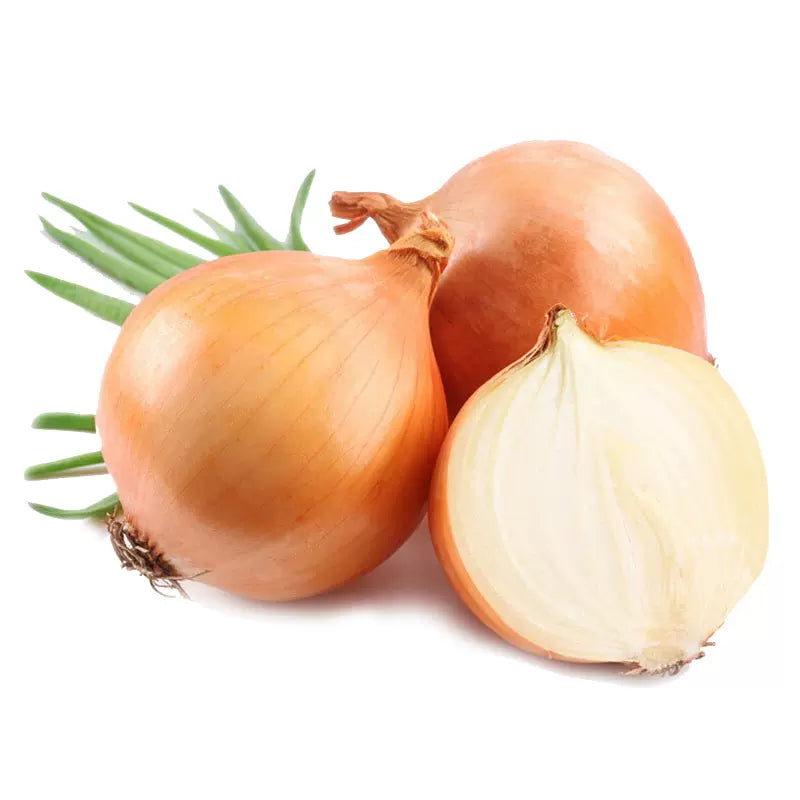 黄洋葱 1磅
