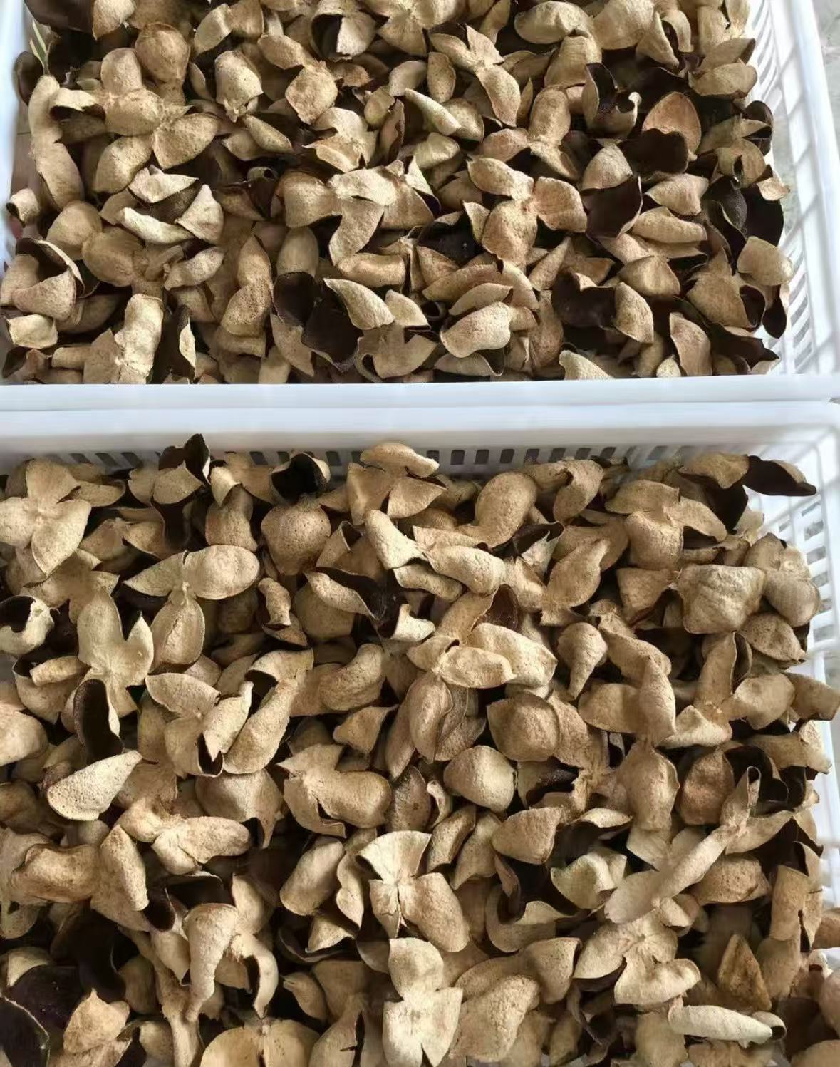 正宗新会陈皮 1磅 2.5年