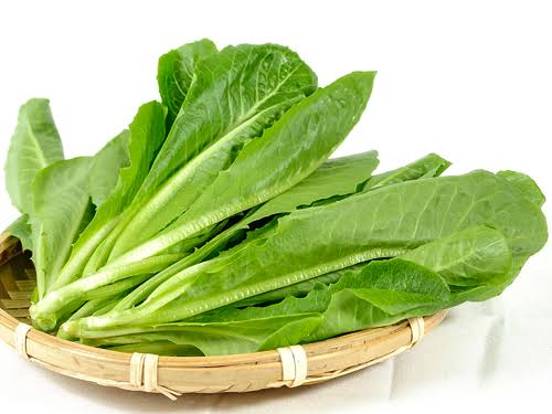 小A菜 1磅 蔬菜卡